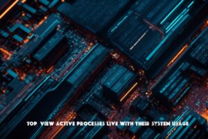 Top (Vizualizarea proceselor active în timp real cu utilizarea sistemului)